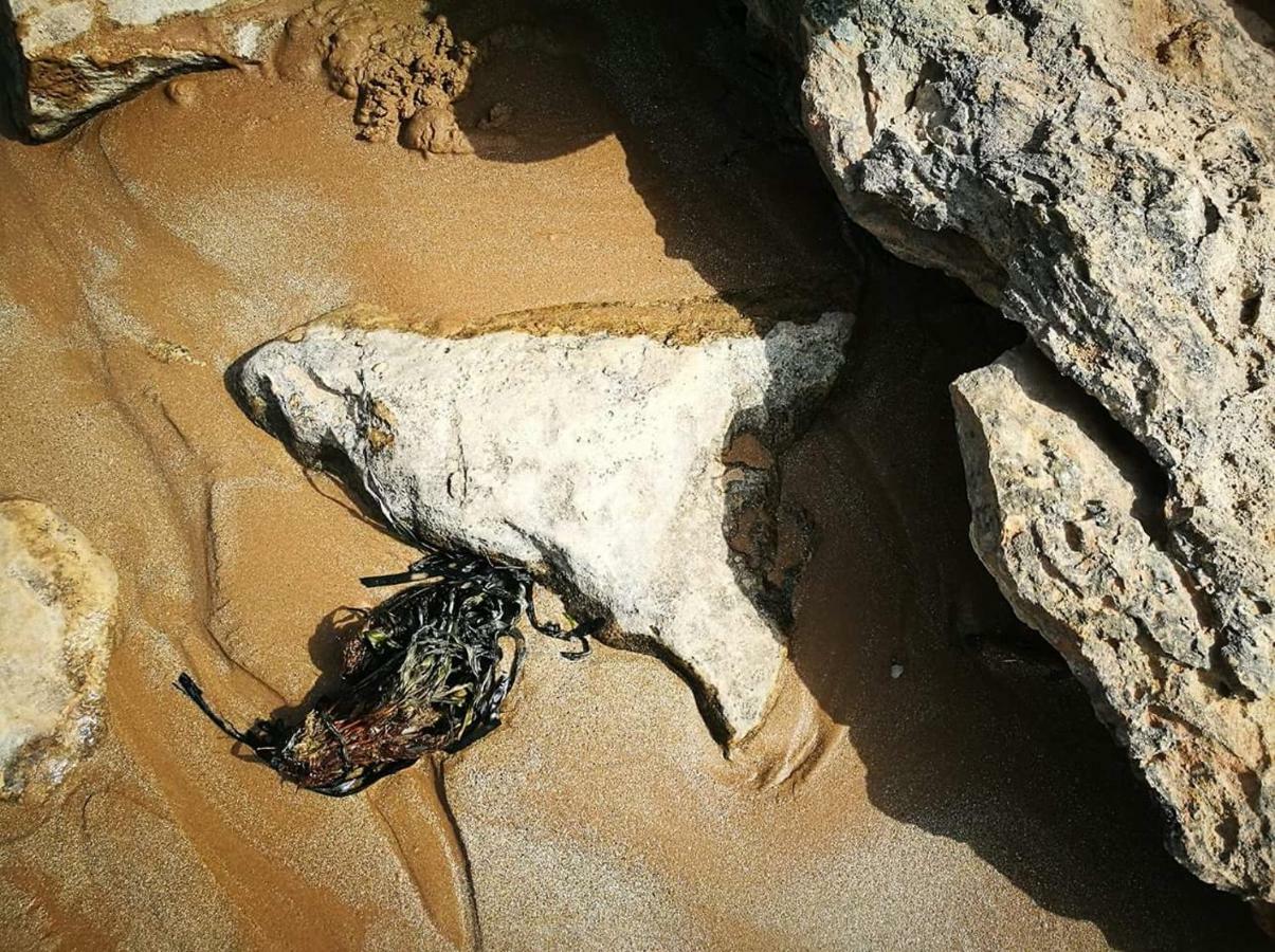 Villa A Dimora di Nenè Marina di Modica Esterno foto